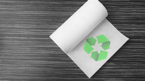 100% Recycled Paper Towels - Wealhouse Publishing