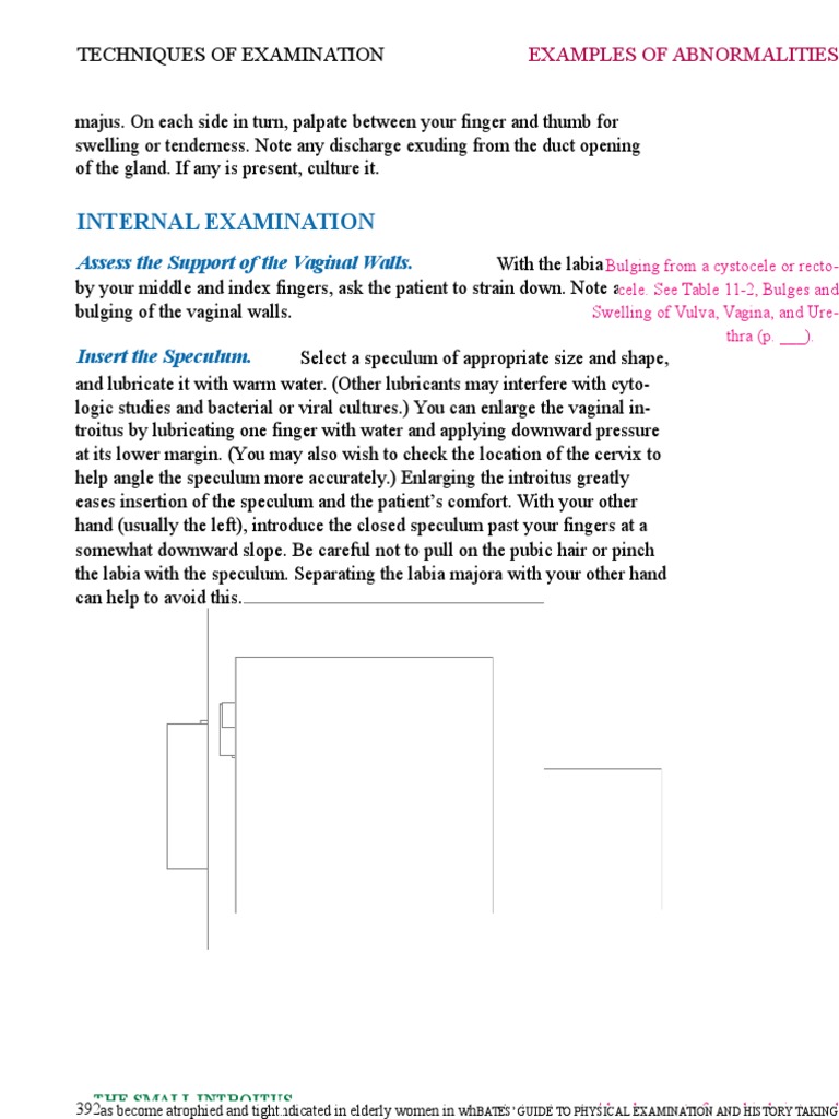 166452723 Mastering Bate S Guide To Physical Examination Doc Physical