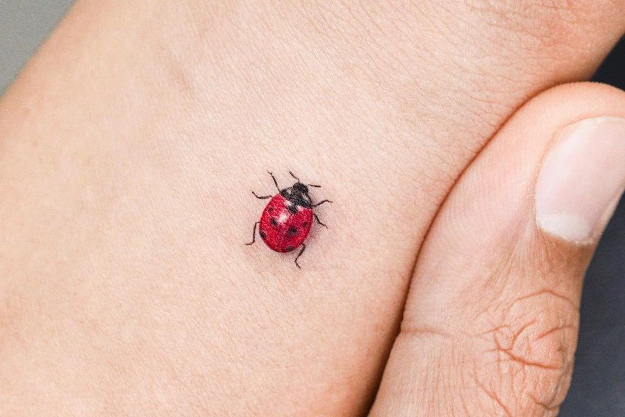 35 Best Ladybug Tattoo Designs Ideas With Meanings Tat Hit