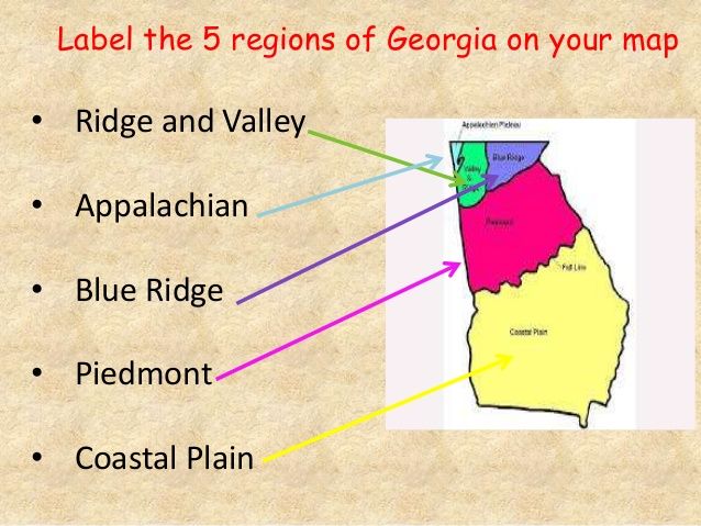 5 Regions Of Georgia Worksheet Kindergarten Printable Sheet