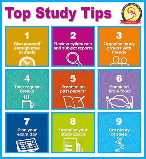 5 Study Tips For Medical School Success Use These Strategies For