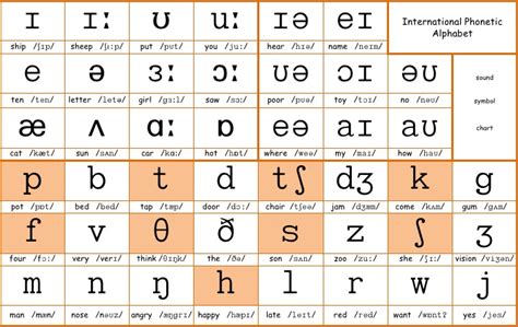 6 1 International Phonetic Alphabet Ipa 6 2 Voiced Voiceless