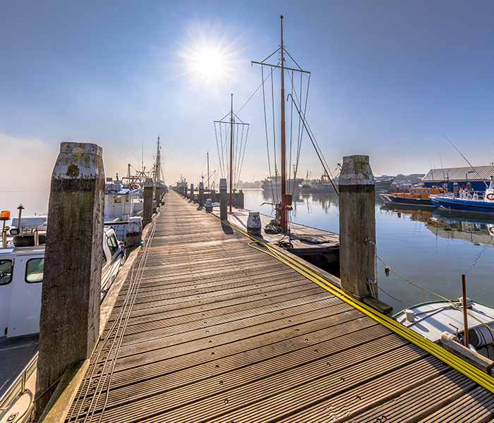 8 Steps For Replacing Damaged Dock Pilings Foothills Docks