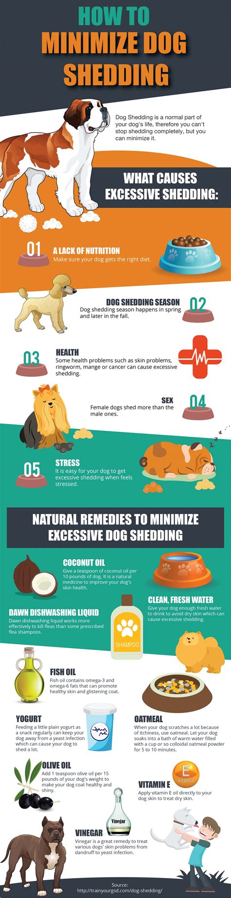 9 Ways To Reduce Dog Shedding Infographic