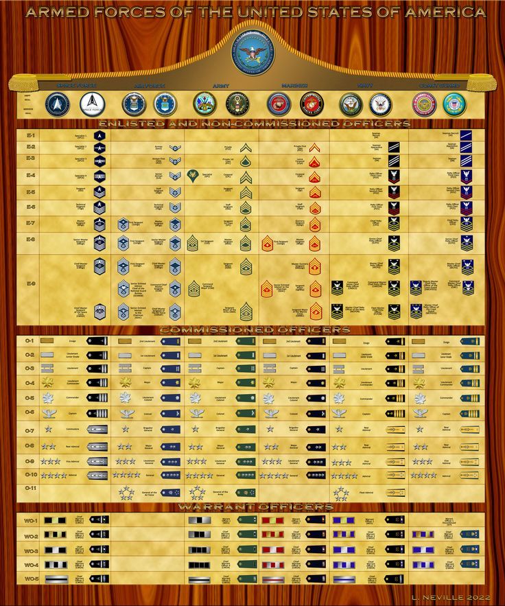 A Complete Guide To Military Ranks And Insignias United American Patriots