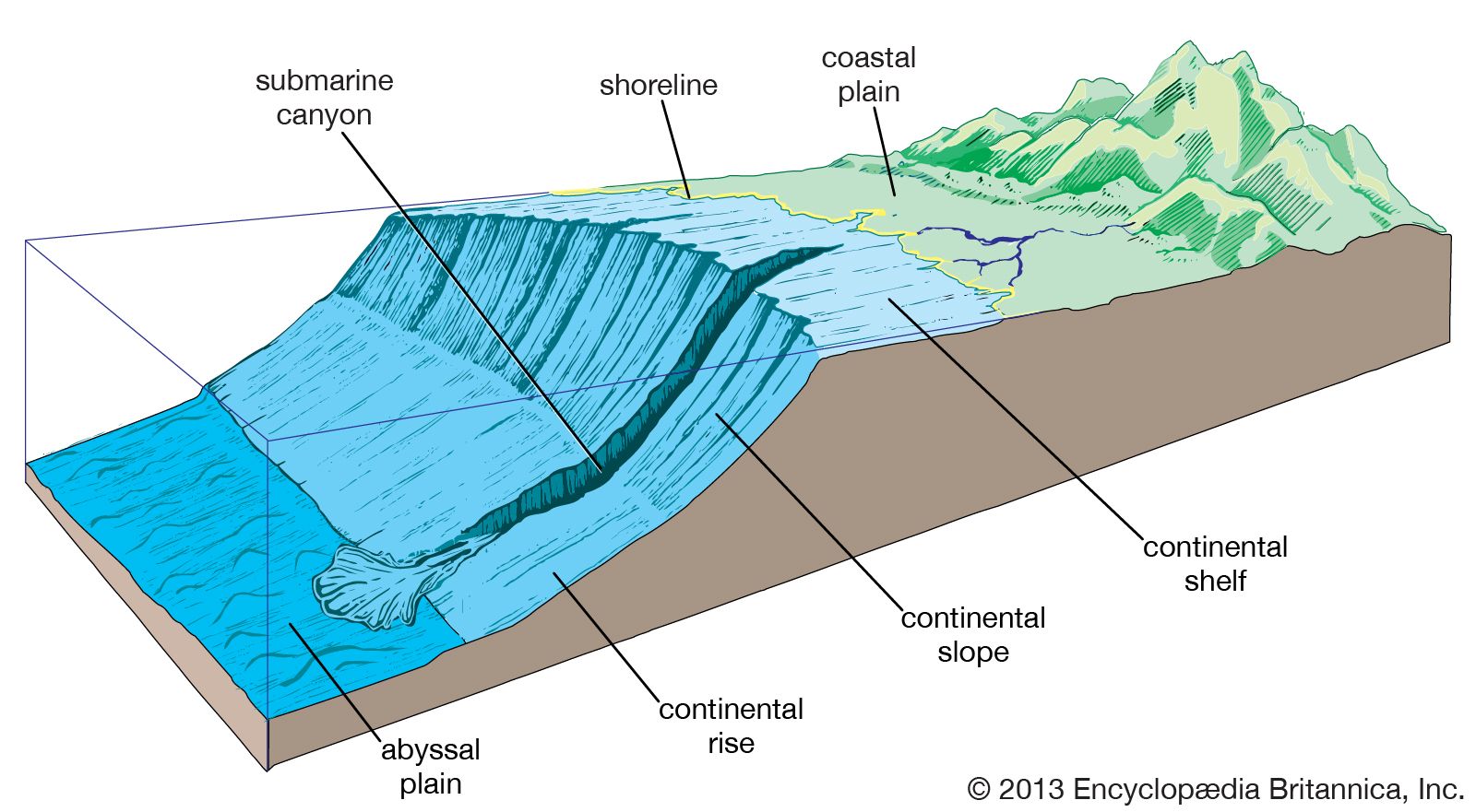 Abyssal Plain