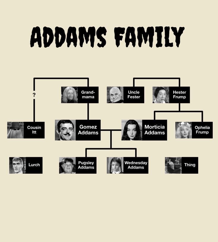 Addams Family Tree Know How To Create One Easily