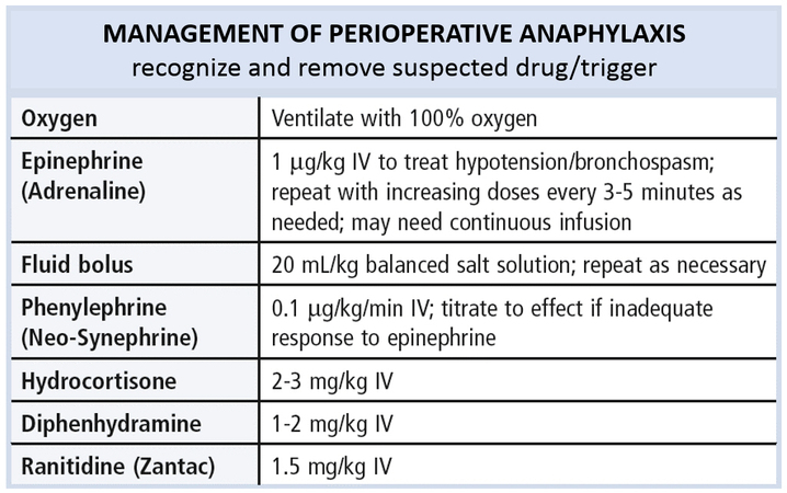 Adrenaline Epinephrine Dose In Anaphylaxis Pediatrics Medicine