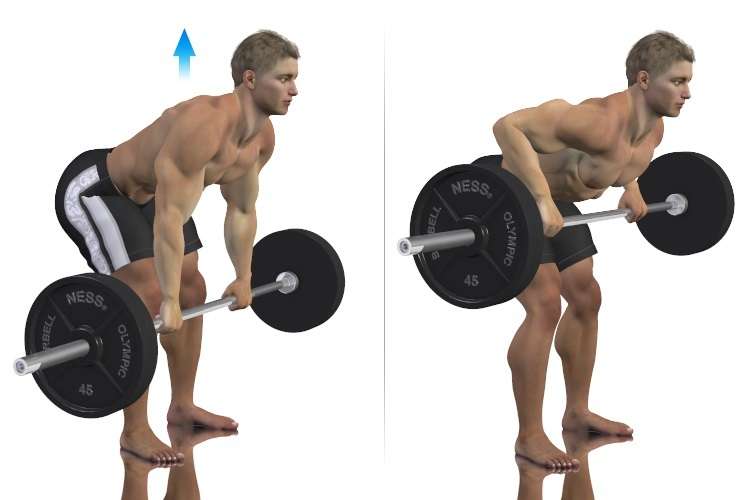 Bent Over Row Exercise With Barbell What Is It How To Do Pictures