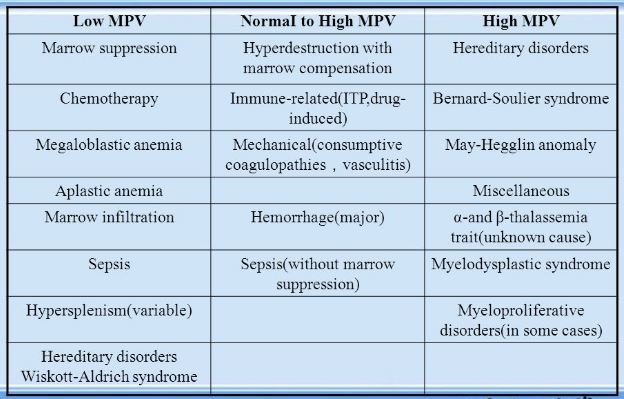 Bio 59 Notes Mpv Blood Test Definition Calculation Results High