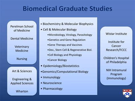 Biomedical Graduate Studies University Of Pennsylvania