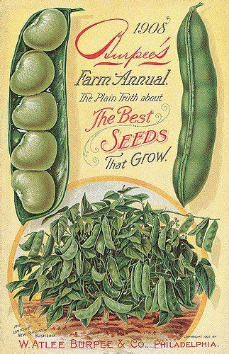 Burpee 1908 Front Cover Seed Catalogs Seed Packets Seeds