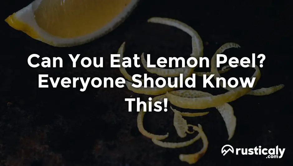 Can You Eat Lemon Peel Here S What You Need To Know