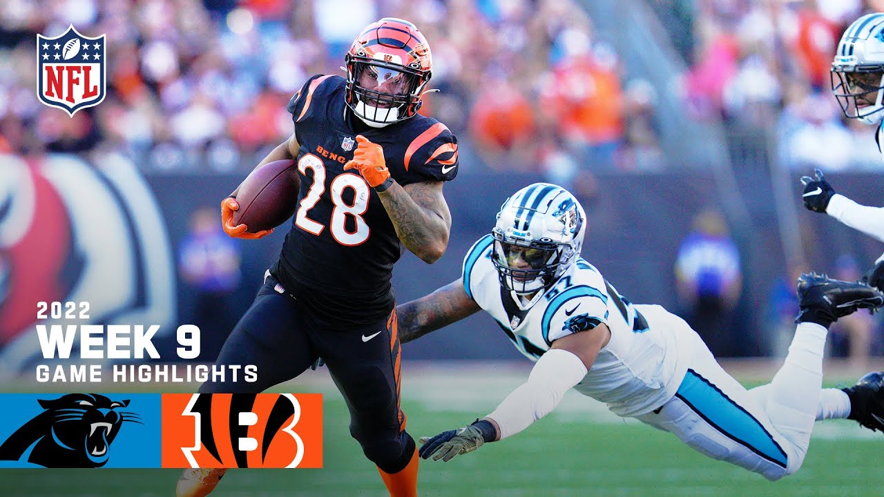 Carolina Panthers Vs Cincinnati Bengals 2022 Week 9 Game Highlights