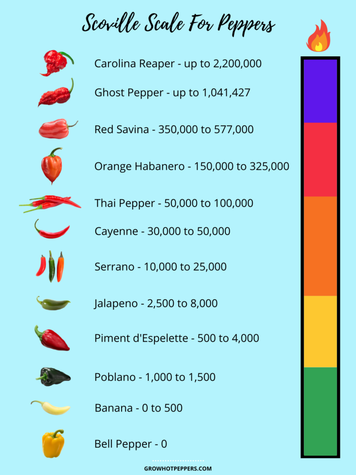 Chart Of Peppers On The Scoville Scale The Scoville Scale For Chili Peppers