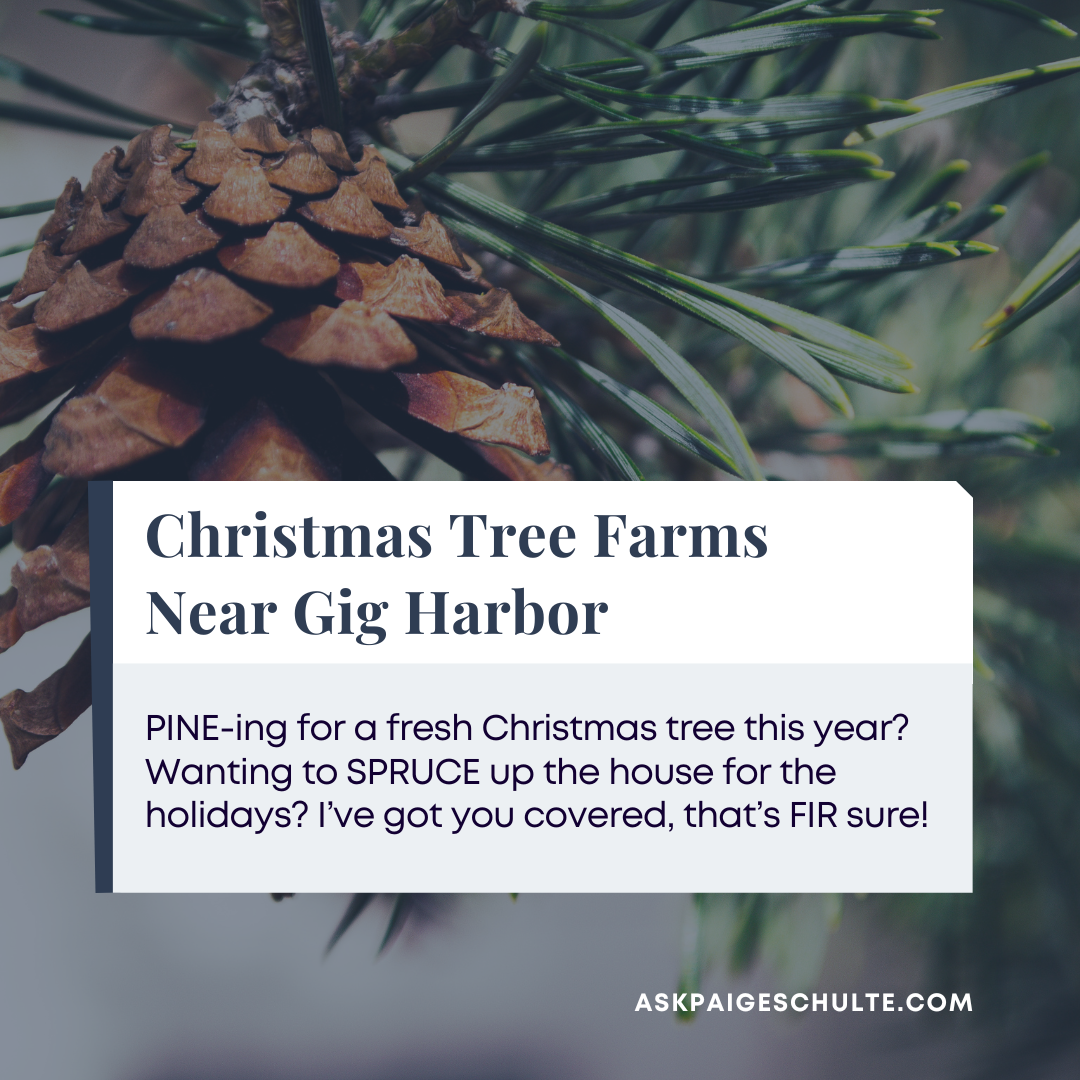 Christmas Tree Farms In Gig Harbor Beyond Paige Schulte Gig