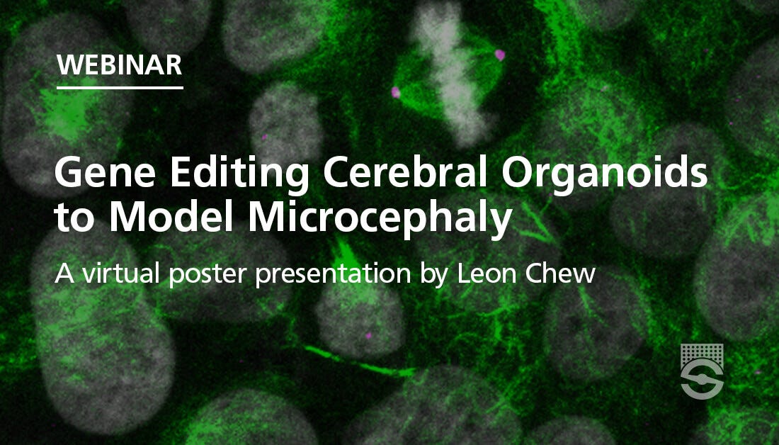 Crispr Cas9 Gene Editing Of Cerebral Organoids To Model Microcephaly