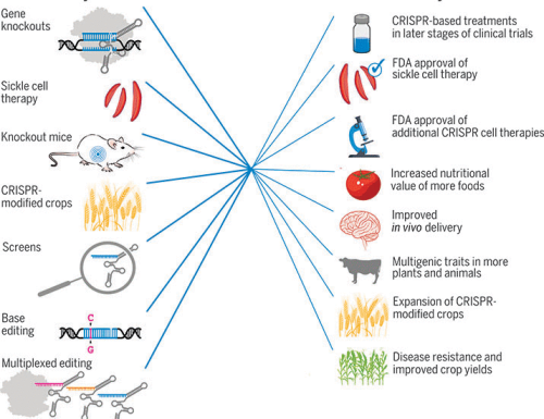 Crispr Technology A Decade Of Genome Editing Is Only The Beginning