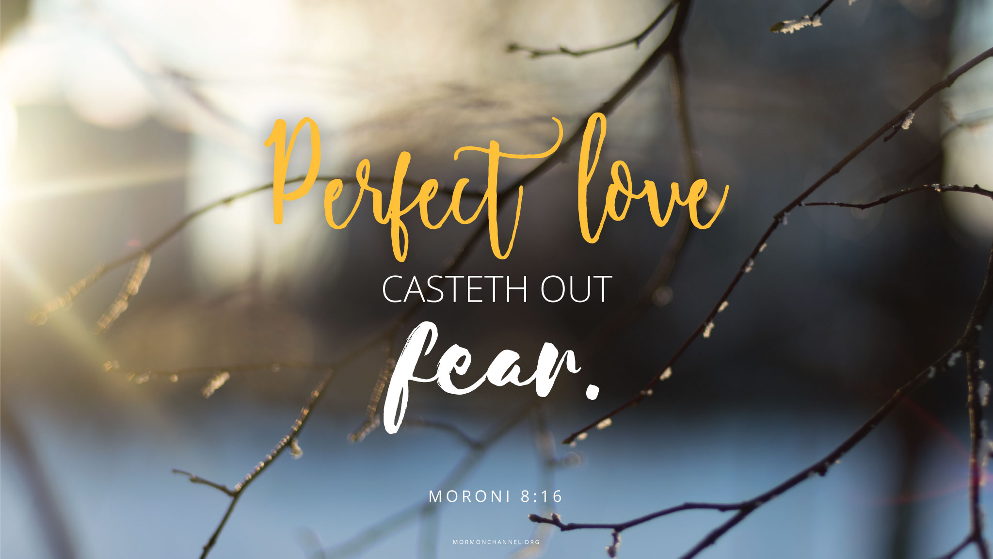 Daily Quote Love Conquers Fear Latter Day Saints Channel