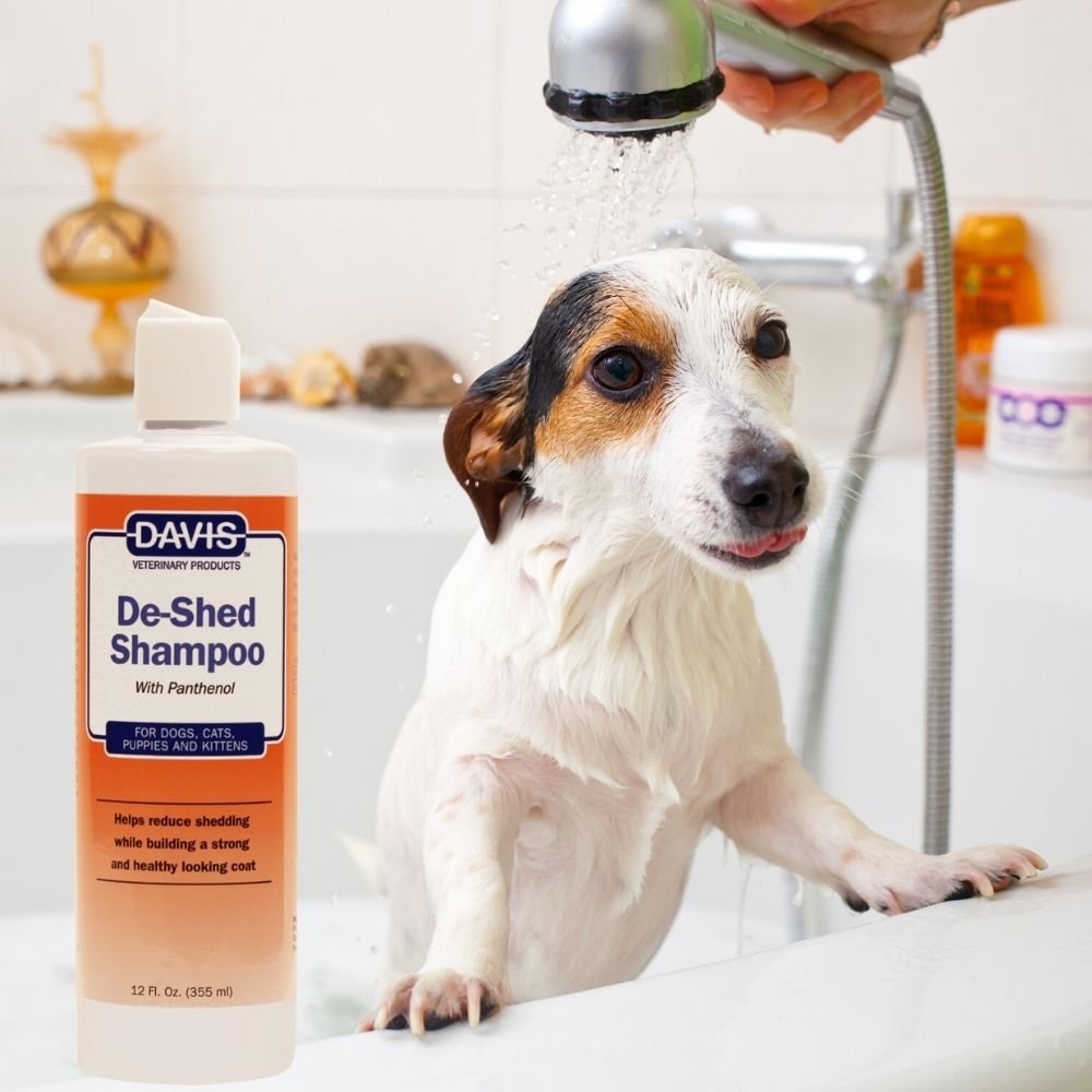 Davis Deshed Dog Shampoo 12 Fl Oz Bottle Chewy Com