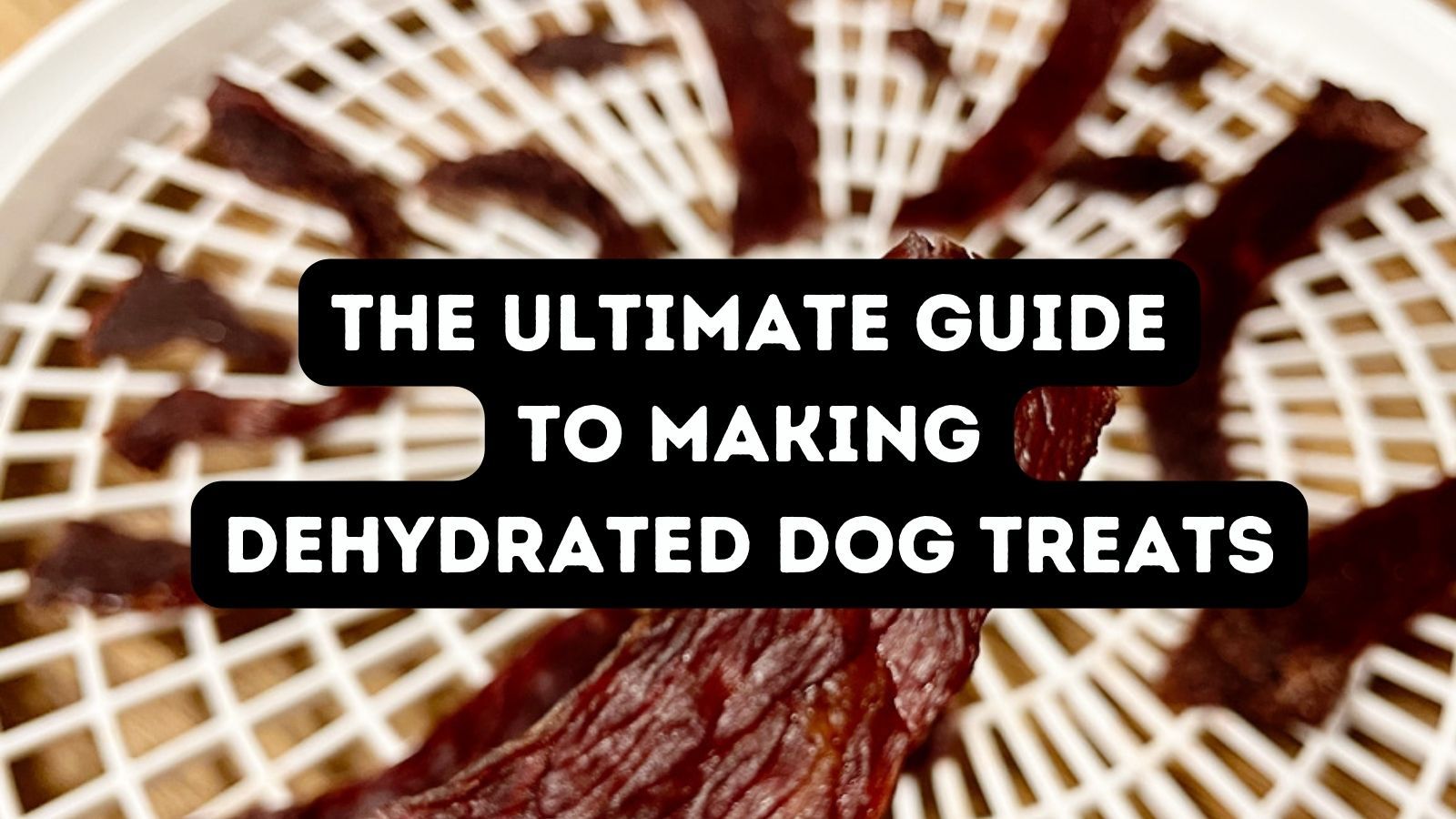 Dehydrated Dog Treats Your Ultimate Guide To Making Treats And Chews