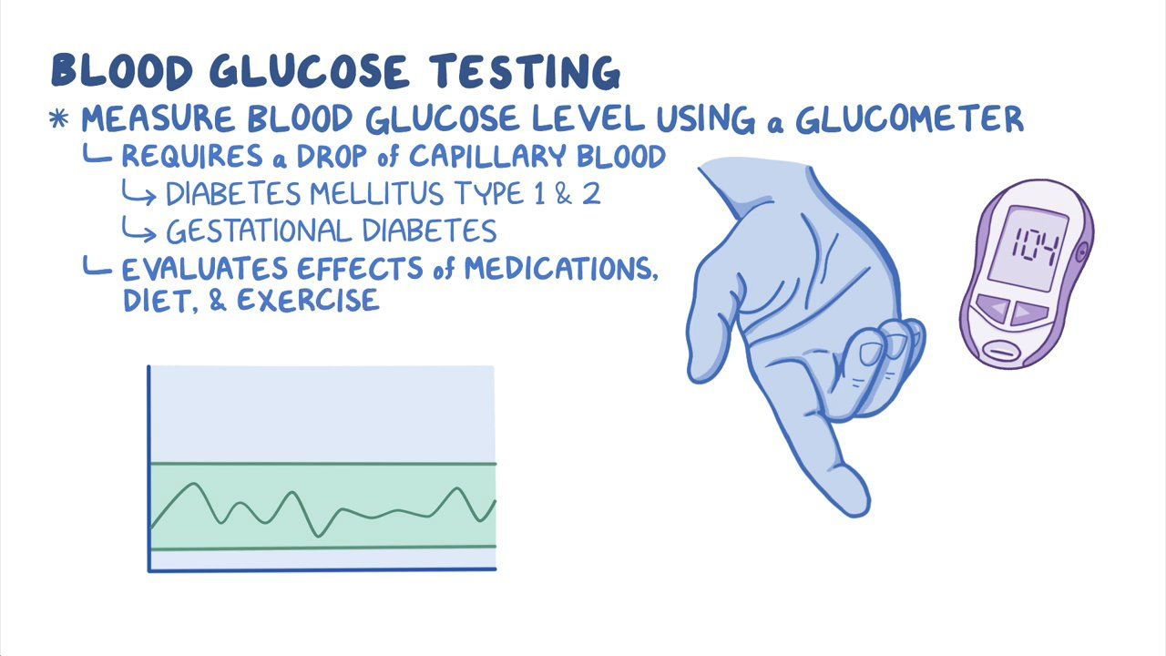 Endocrine Blood Glucose Testing For Nursing Assistant Training