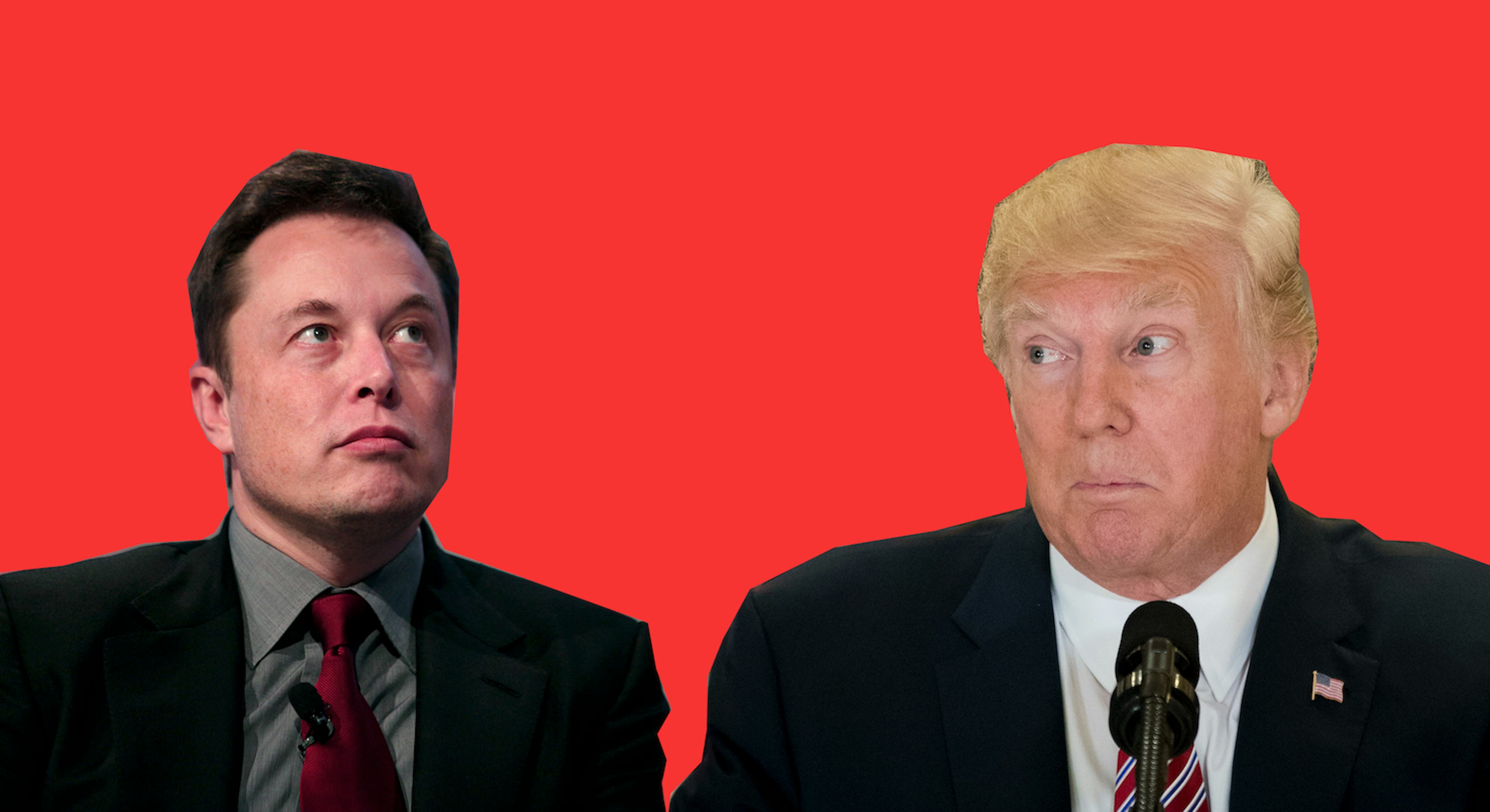 Everything Elon Musk Has Ever Said About Donald Trump Inverse