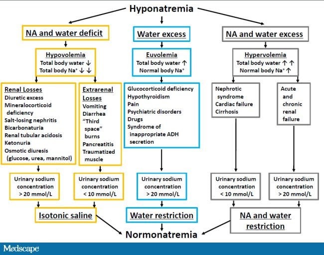 Figure 1 From Hyponatremia And Hypernatremia In The Newborn In Medio