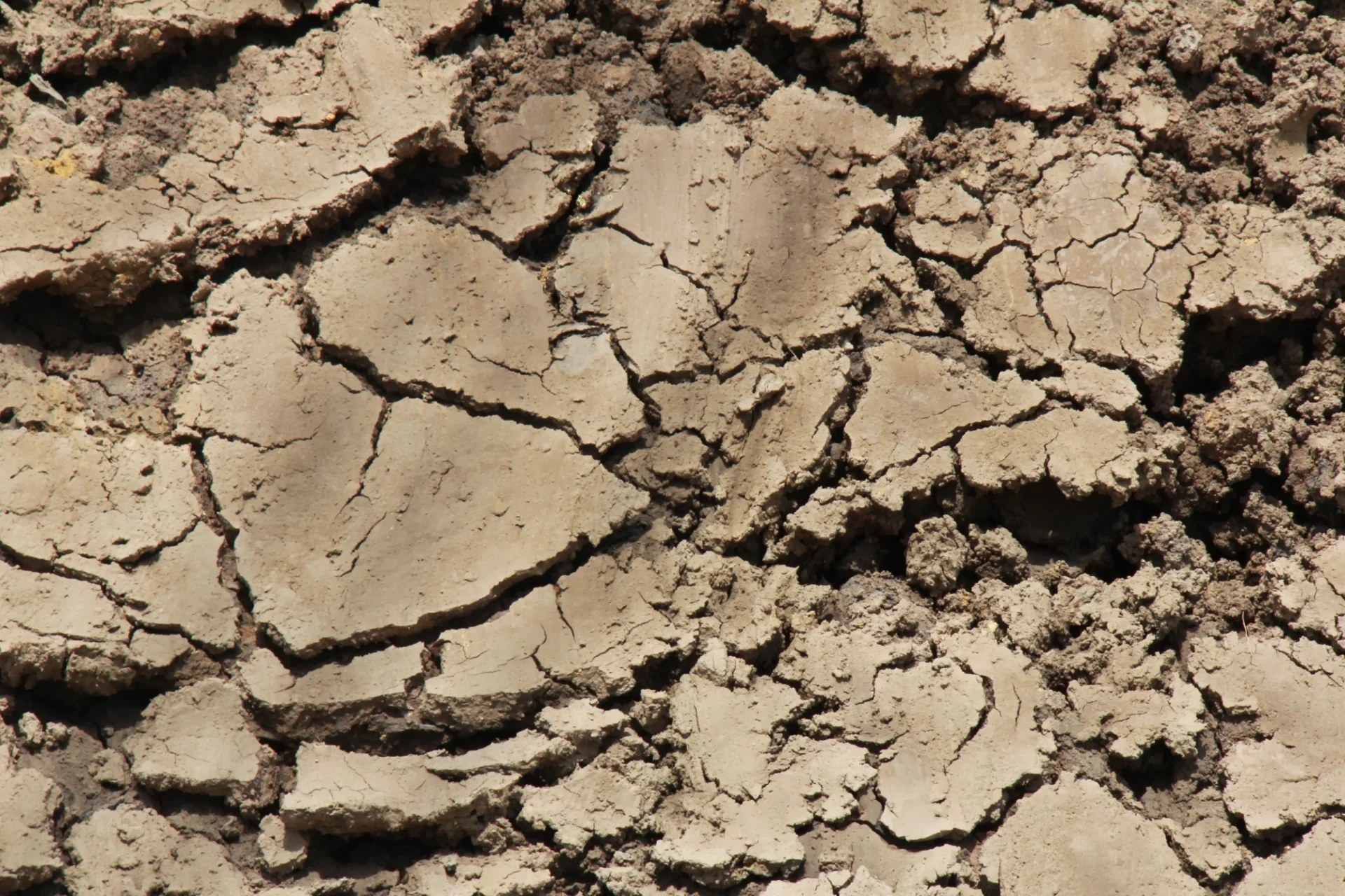 Fix Bad Soil How To Revive Dead Soil The Manicured Gardener Soil