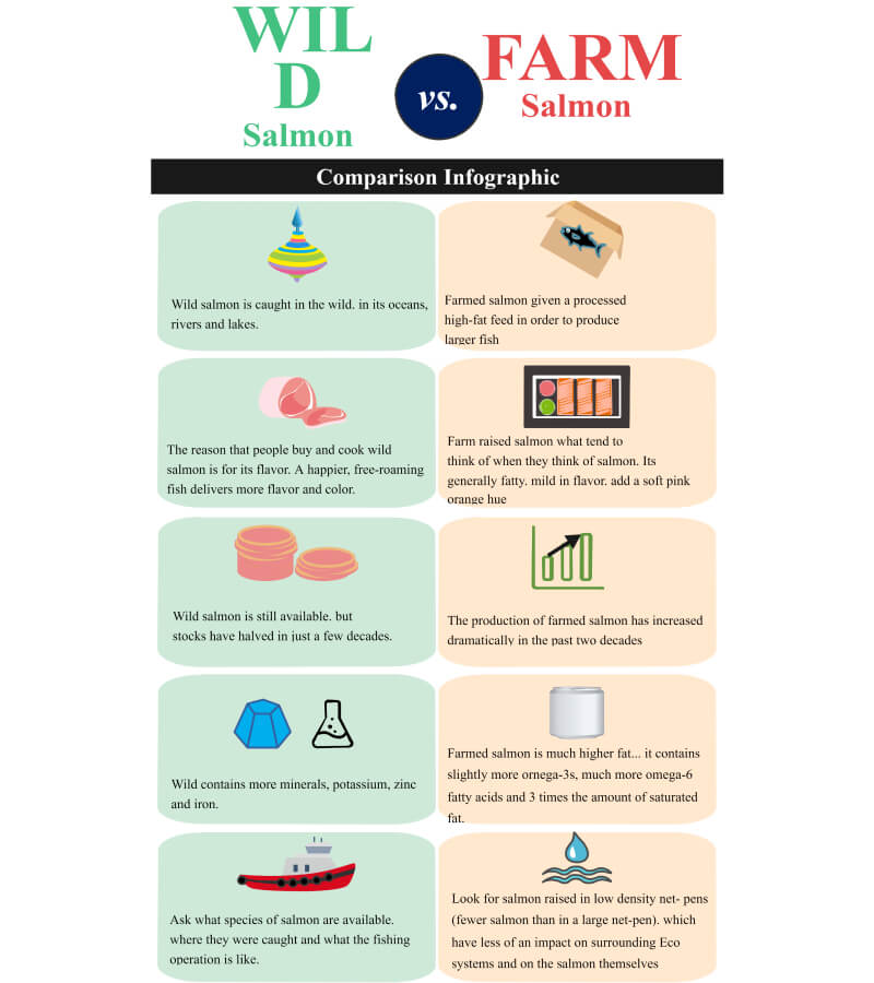 Free Editable Comparison Infographic Examples Edrawmax Online