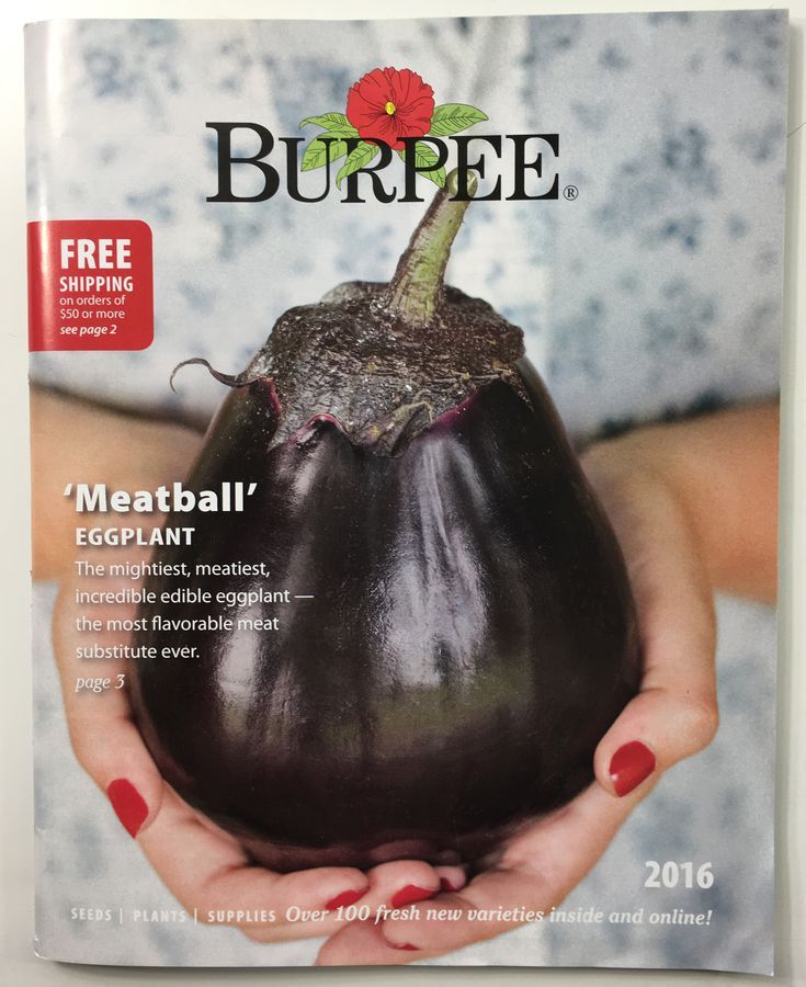 Get The Burpee Seed Catalog For Free Plant Catalogs Seed Catalogs