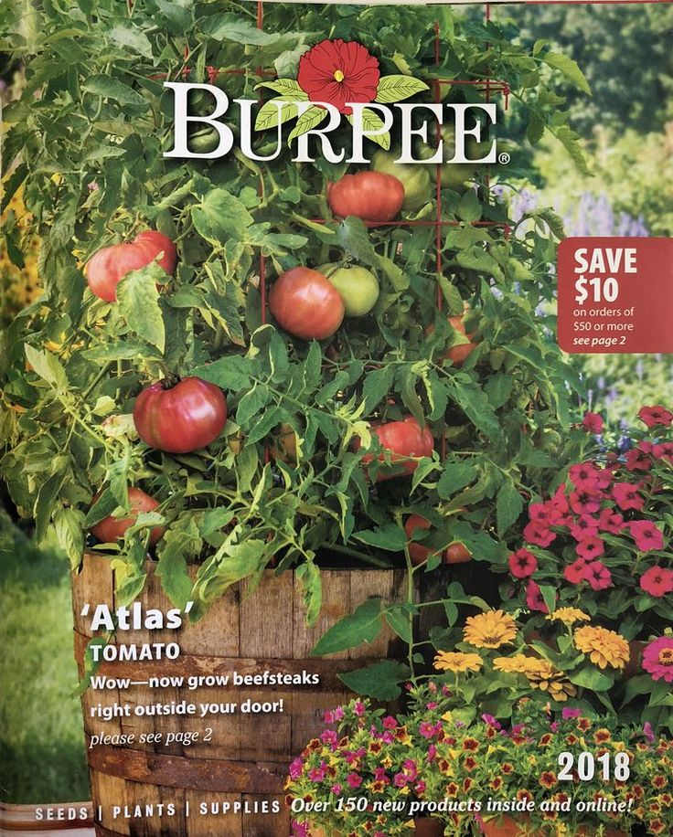 Get The Burpee Seed Catalog For Free Seed Catalogs Seed Company