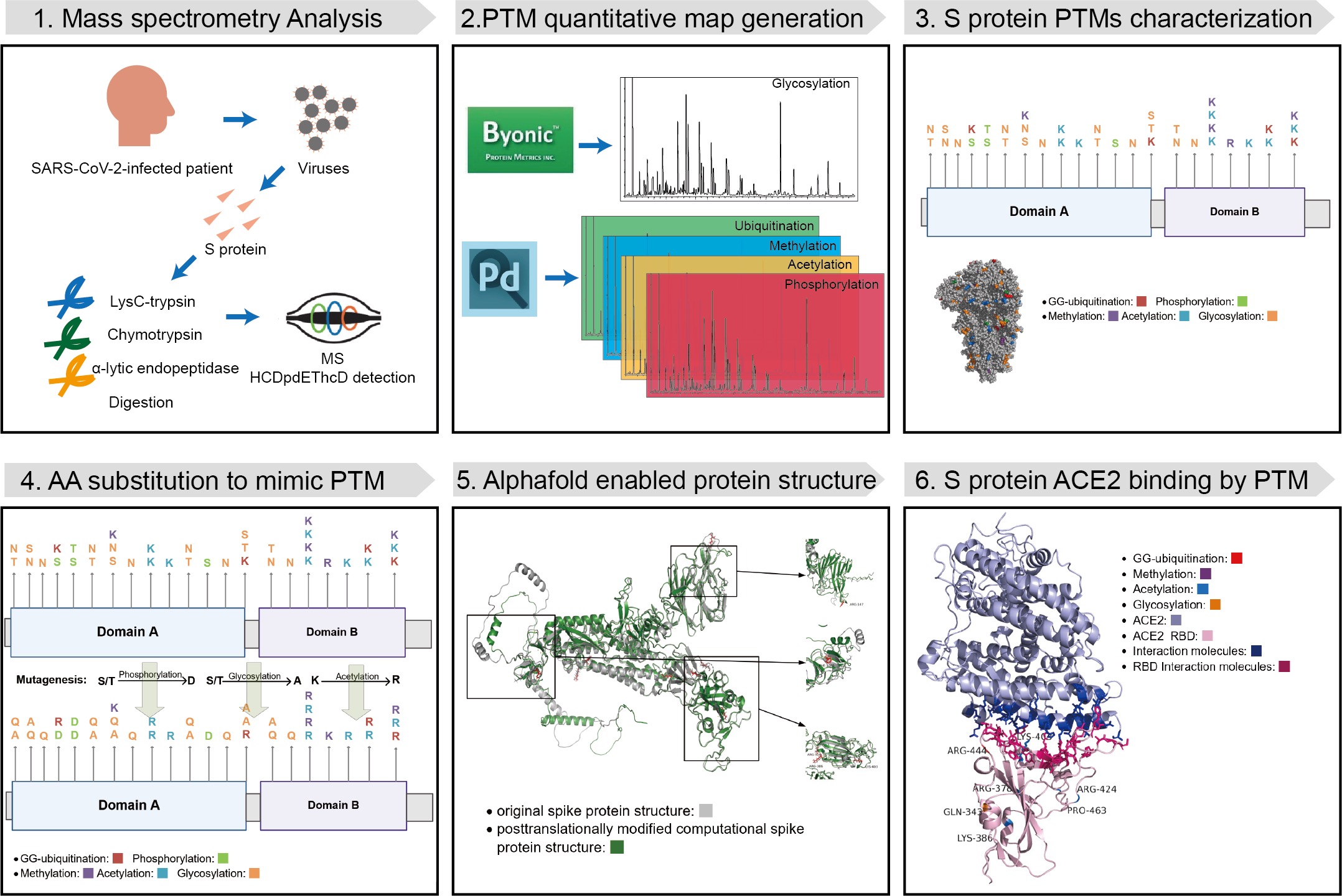 Github Ltzhkustgz Sars Cov 2 Spike Protein Ptm 1 Sars Cov 2 Spike