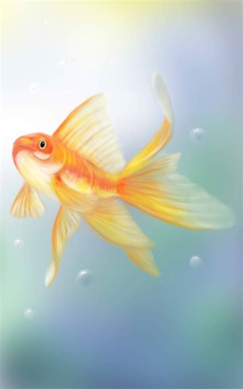 Gold Fish Card For My New Game By Vectoreyes On Deviantart