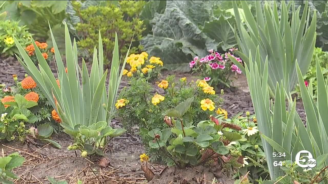 Grafton Correctional Institution Garden Grows To Help Feed Community