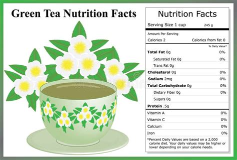 Green Tea Nutrition Facts Stock Vector Image Of Liquid 55357902