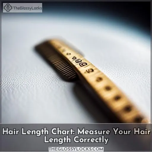 Hair Length Chart Measure Your Hair Length Correctly