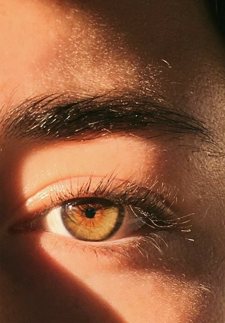 Hazel Brown Eyes Pretty Brown Eyes Beautiful Brown Eyes Cosmetic