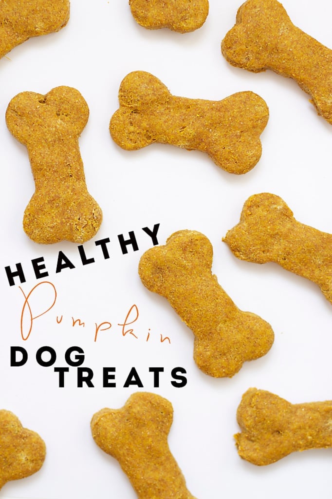 Healthy Pumpkin Dog Treats B Britnell