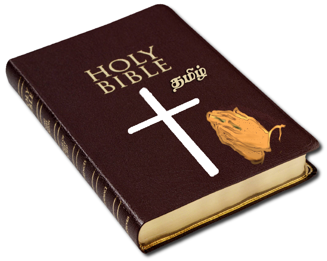 Holy Book Sacred Book Of Christianity Hd Png Download Kindpng