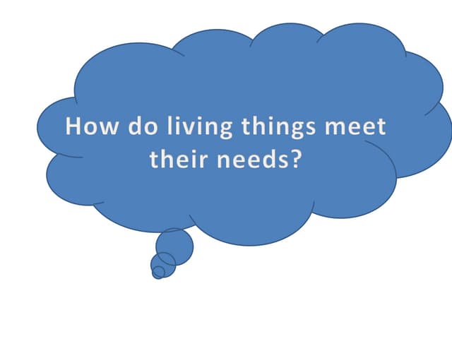 How Do Living Things Meet Their Needs