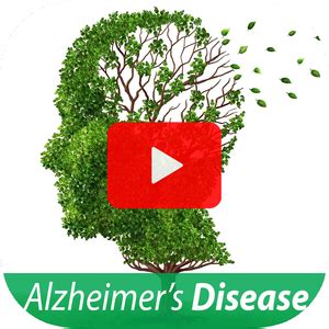 How To Avoid Find Cope With Alzheimer S Disease For Beginners To