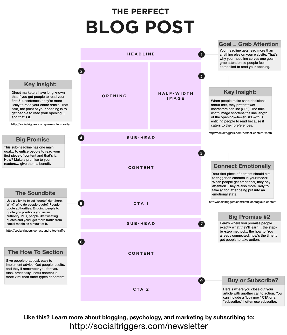 How To Create The Perfect Blog Post