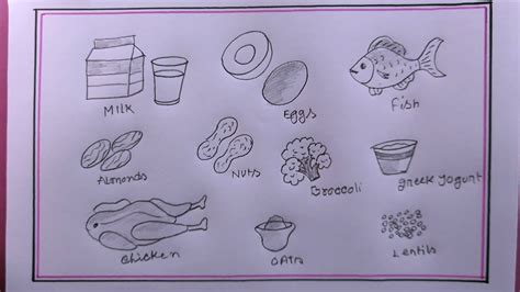 How To Draw Sources Of Protein Protein Food Drawing Youtube