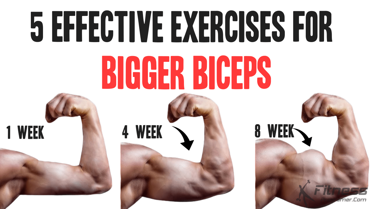 How To Increase Vascularity Exercises For Bigger Biceps