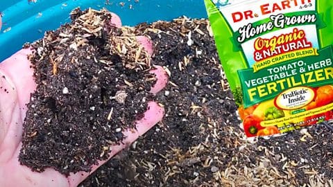 How To Revive Old Potting Soil Diy Joy