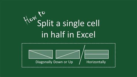 How To Separate One Cell Into Two Parts Divide One Cell Into Two In