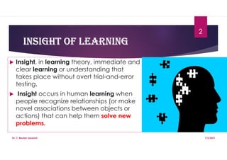 Insight Learning 10 Examples Definition Case Studies 2024