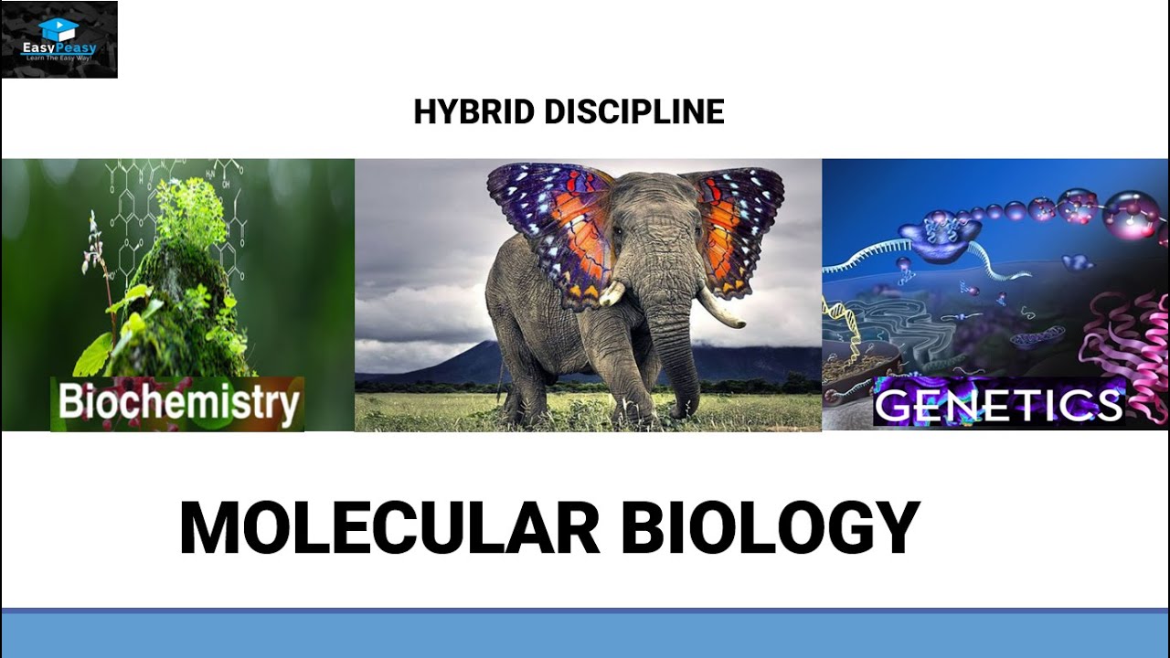 Introduction To Cell And Molecular Biology Youtube