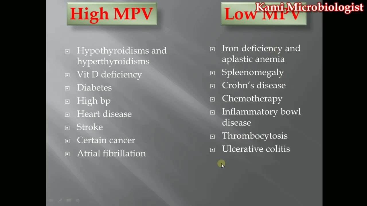 Is Mpv 11 1 High Normal Or Dangerous What Does Mean Platelet Volume